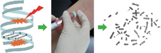 external_image external_image