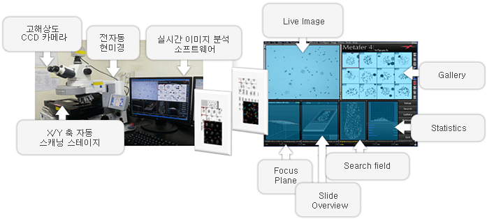왼쪽 사진은 세포유전학적 선량평가를 위한 말초혈액 림프구의 염색체 이미지 획득용 장비로써 자동 스캐닝 스테이지가 장착된 전자동 현미경과 고해상도 CCD 카메라, 실시간 이미지 분석용 소프트웨어를 포함함. 오른쪽 사진은 염색체 이미지 획득용 프로그램 조작 화면 예시.